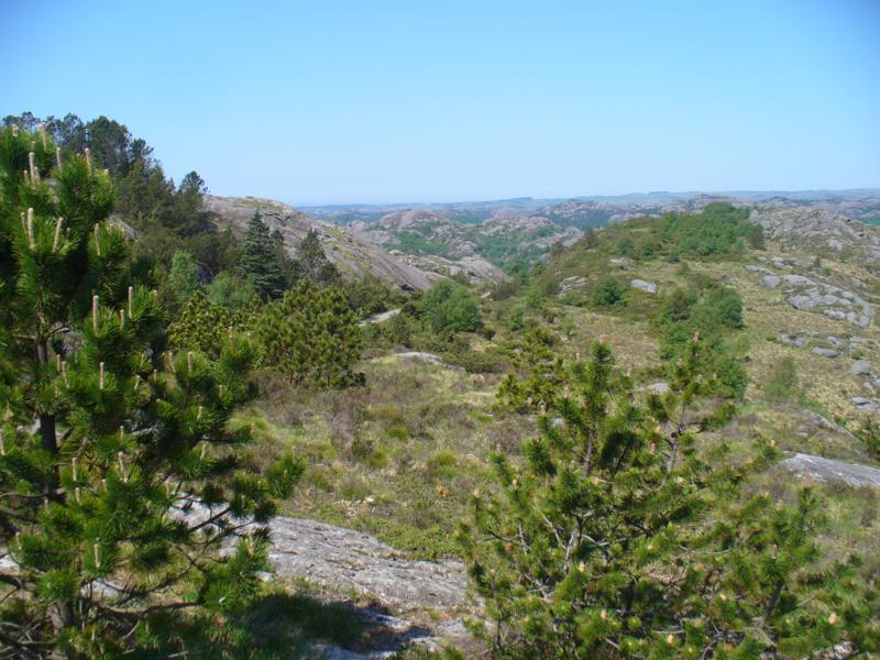 Norwegen Teil 1 (16)