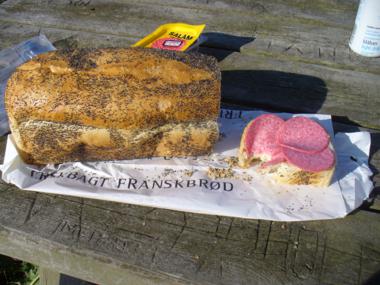 Triking Norway (297)