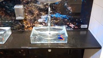 IMG_20140622_173608435_12-23-2014